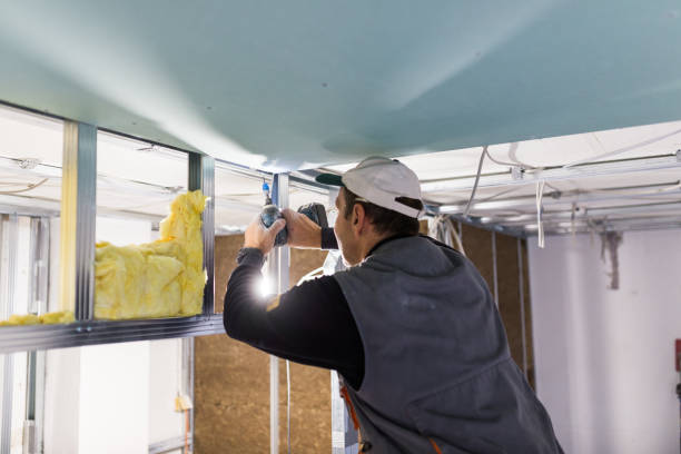 Best Attic Insulation Installation  in Tazewell, VA